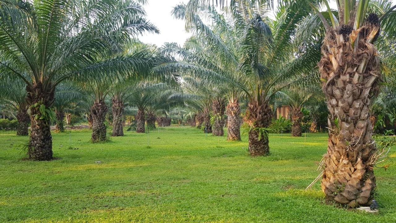 Palm Pran Resort Pran Buri Exteriér fotografie
