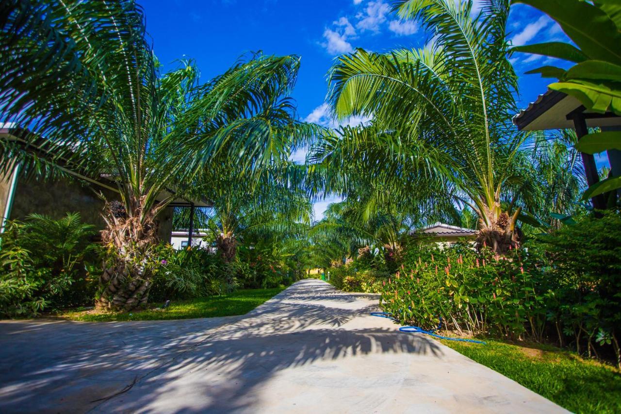 Palm Pran Resort Pran Buri Exteriér fotografie